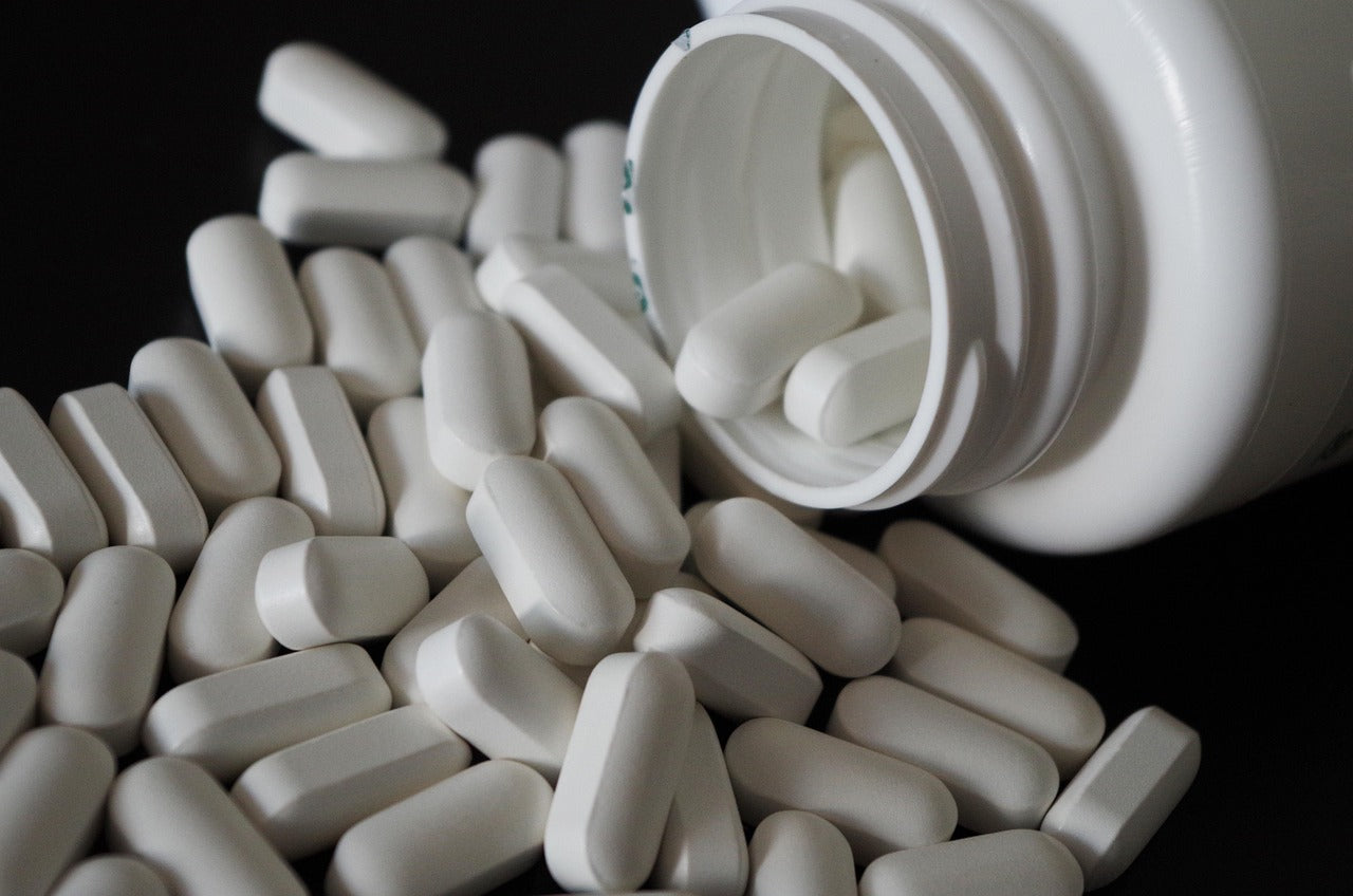 multivitamins dogs
