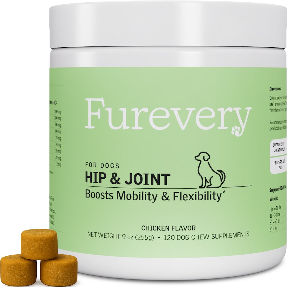 Hip & Joint