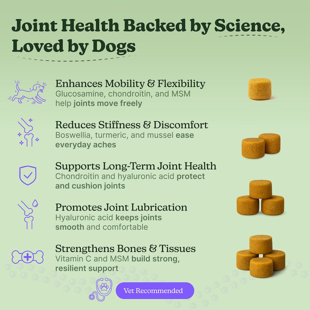 Hip & Joint