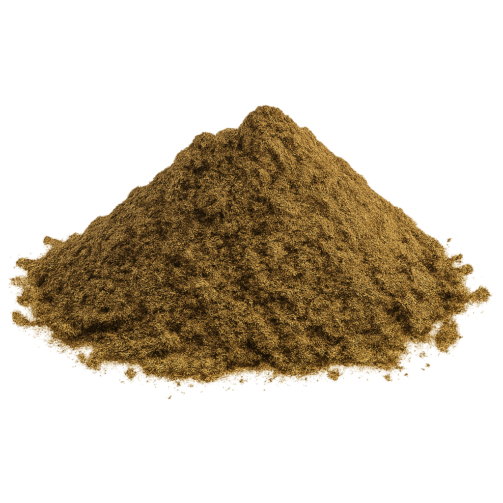 Illustration of green-lipped mussels, a joint-support ingredient for dogs