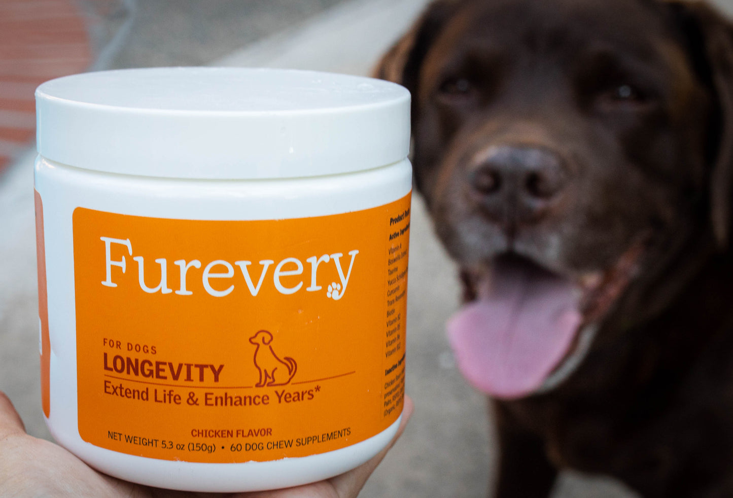 Longevity - Anti-Aging for Dogs