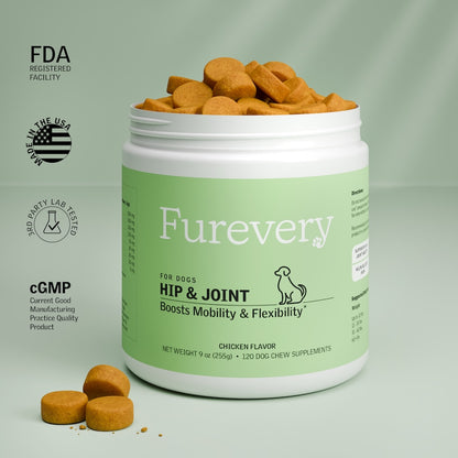 Hip & Joint