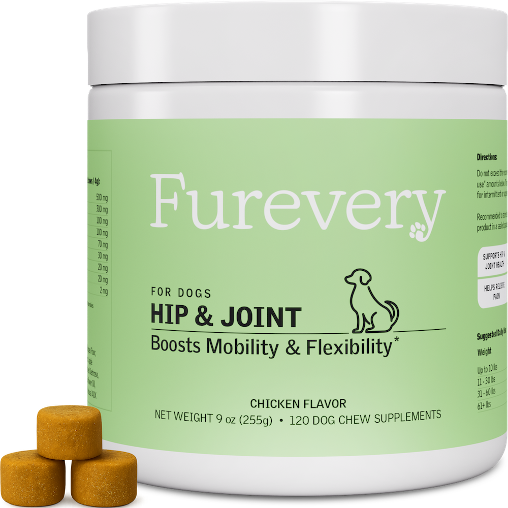 Hip & Joint
