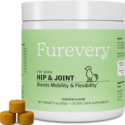 Hip & Joint