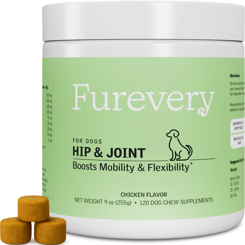 Hip & Joint