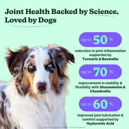 Hip & Joint Chicken Soft Chews for Dogs
