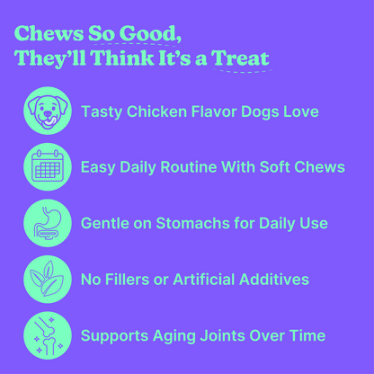 Hip & Joint Chicken Soft Chews for Dogs