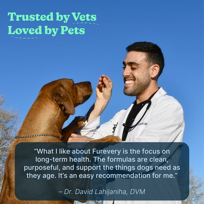 Hip & Joint Chicken Soft Chews for Dogs