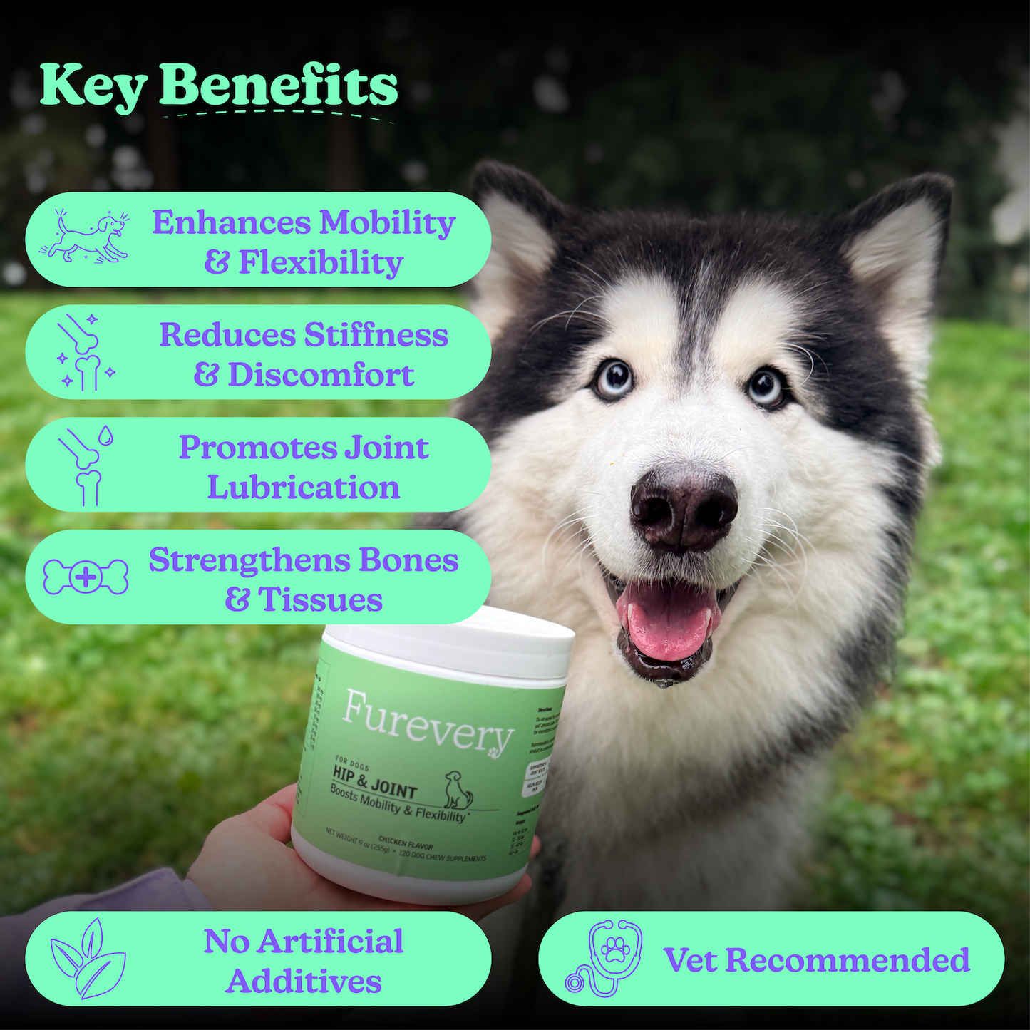 Hip & Joint Chicken Soft Chews for Dogs