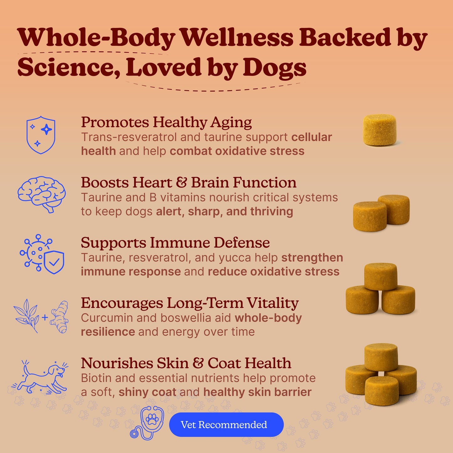 Daily Wellness