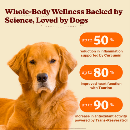 Longevity Daily Multivitamin for Dogs