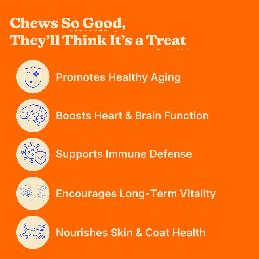 Furevery Complete Daily Health System for Dogs