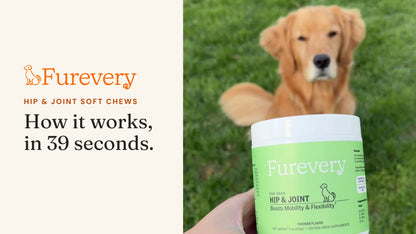 Hip & Joint Chicken Soft Chews for Dogs