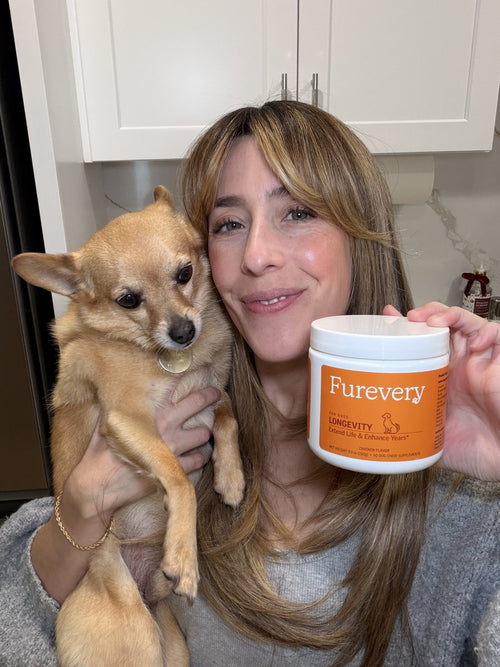 Woman hugging her chihuahua and holding Furevery Longevity