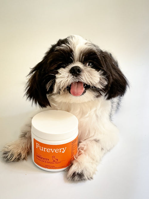 Shih tzu smiling behind a jar of Furevery